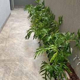 A0E039E4-445D-4AA9-8C90-AB85D9384CAC